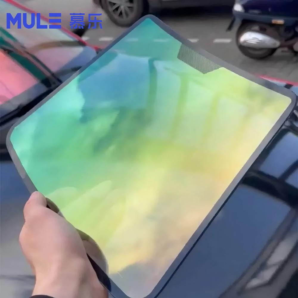 Modello Espositivo per Vetri A - Glass Protector Auto recensione e prezzo